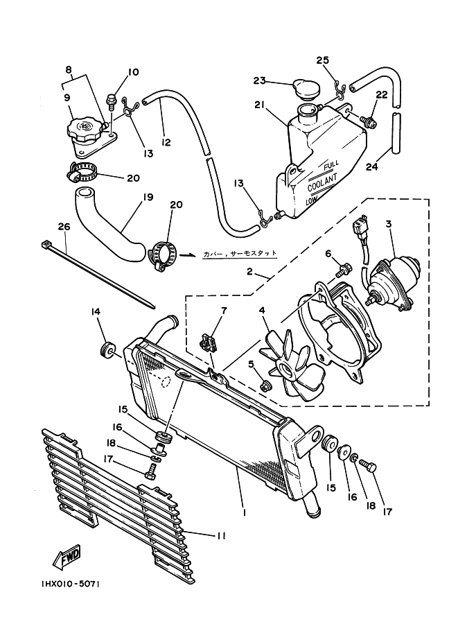 Radiator . Hose