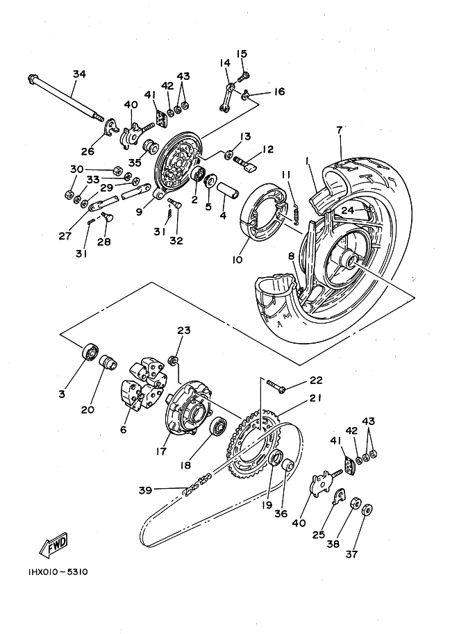 Rear Wheel