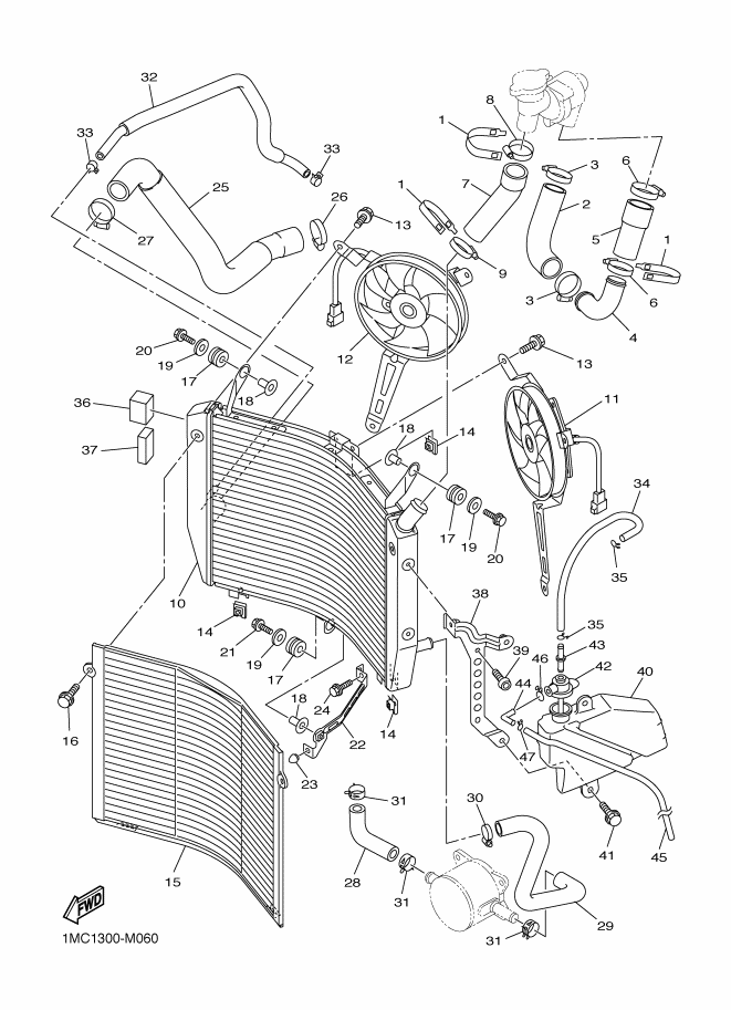 Radiator & Hose