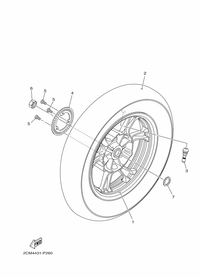 Rear Wheel