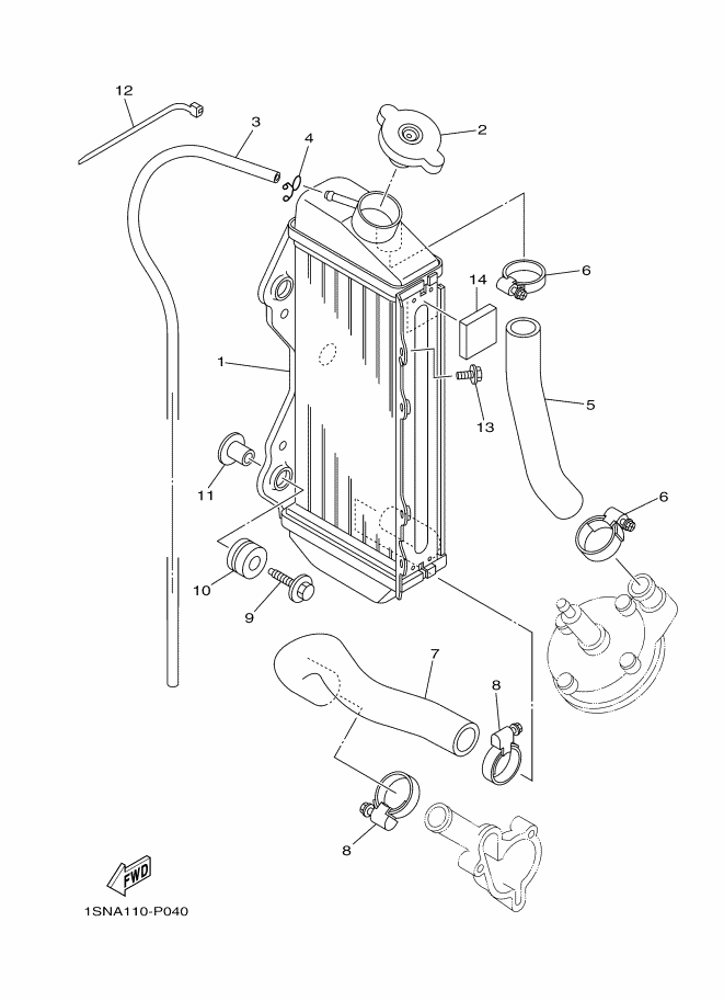 Radiator & Hose