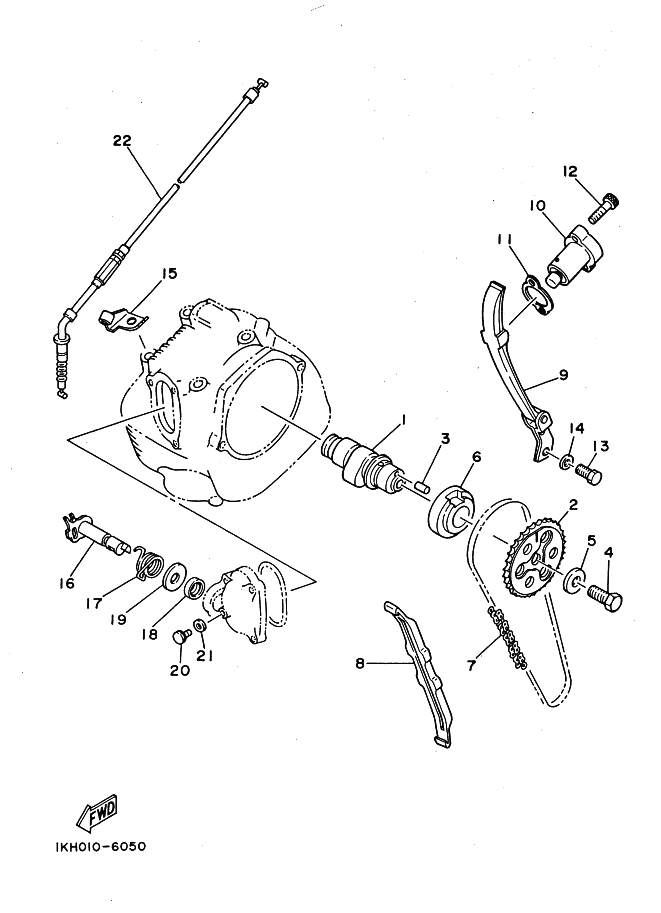 Camshaft . Chain