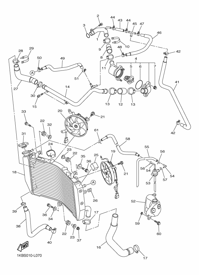 Radiator & Hose