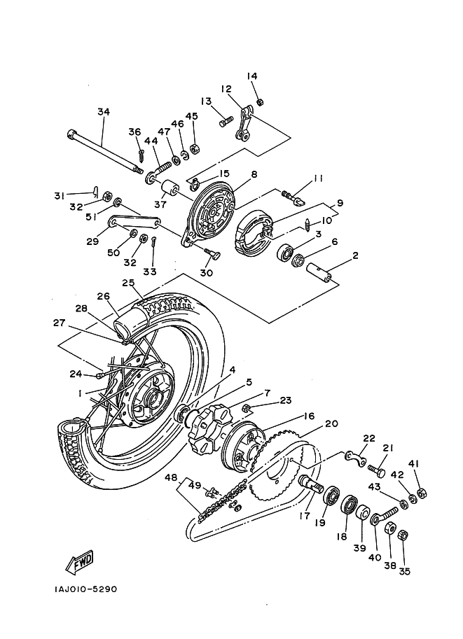 Rear Wheel