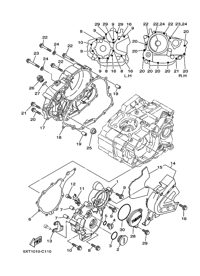 Crankcase Cover 1