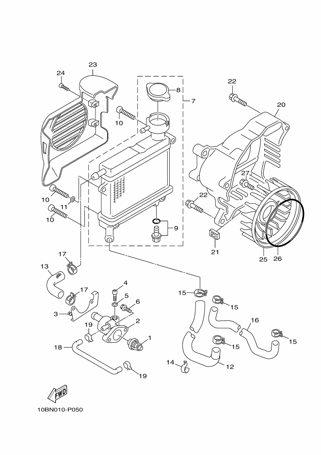 Radiator & Hose