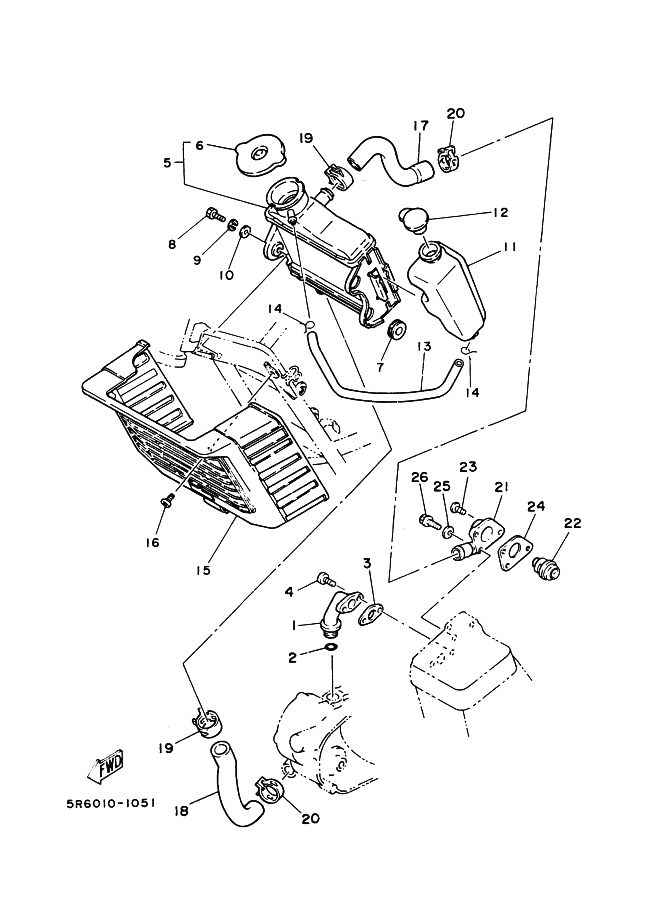 Radiator . Hose
