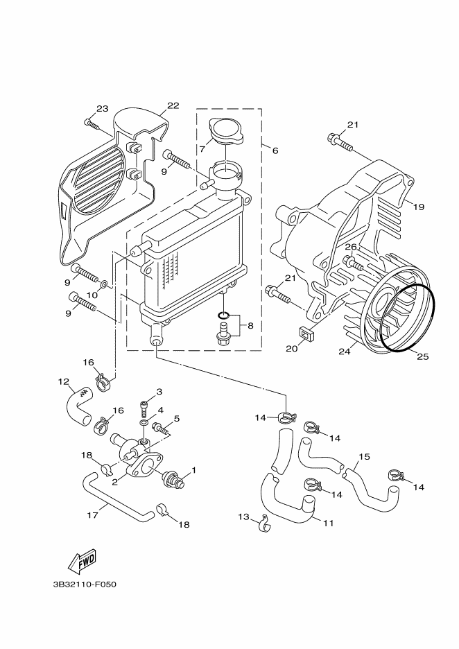 Radiator & Hose