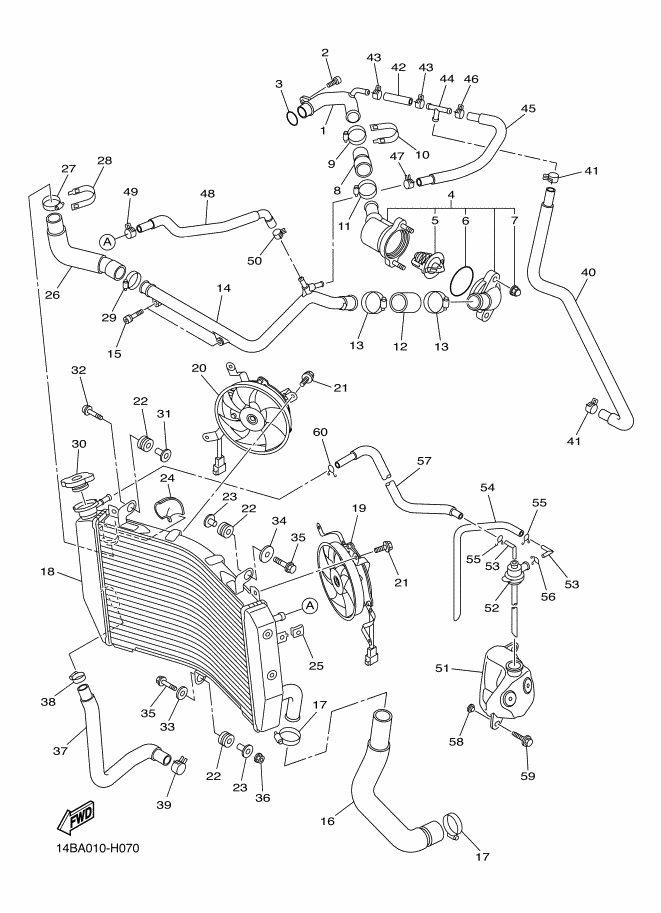 Radiator & Hose