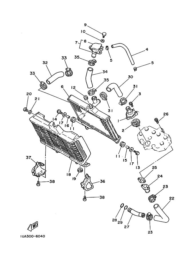 Radiator . Hose