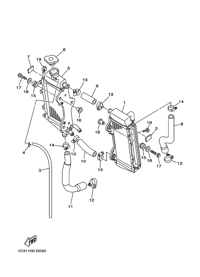 Radiator & Hose
